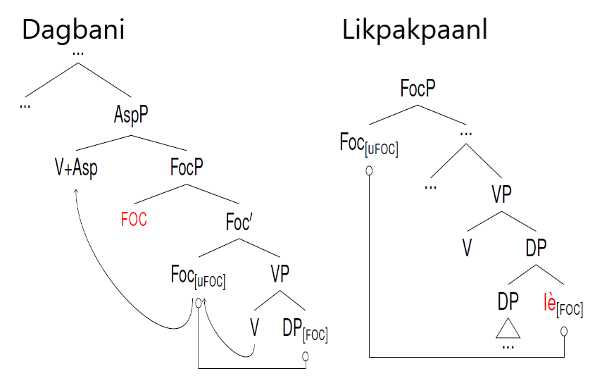 Dagbani and Likpakpaanl